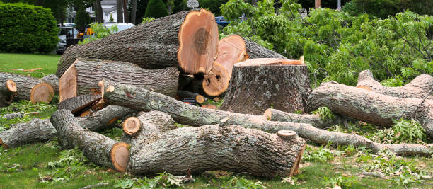 Mulching Services in Randleman, NC